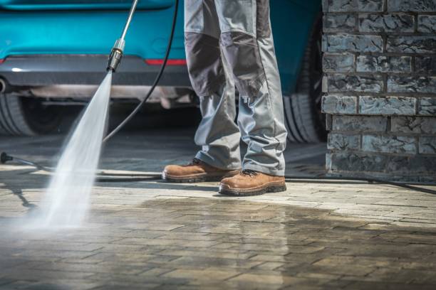 Best Pre-Holiday Cleaning  in Fruitland, IA